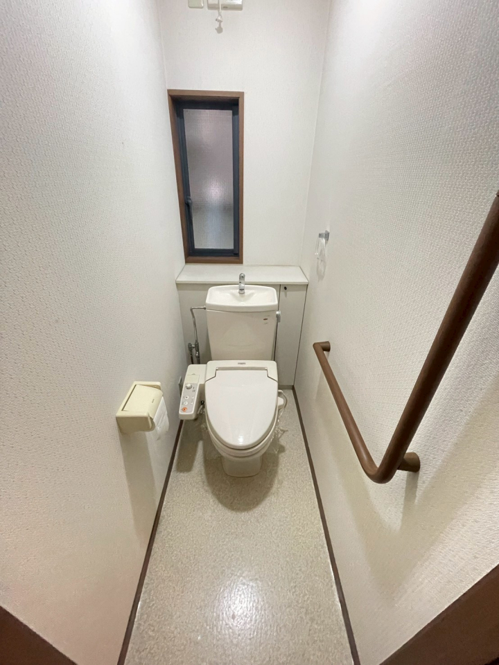 �V�����V���s�����擌�o�����̒��È�ˌ��Ẵg�C��