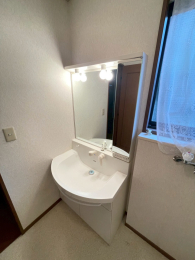 �V�����V���s�����擌�o�����̒��È�ˌ��Ă̐��ʑ�E���ʏ�