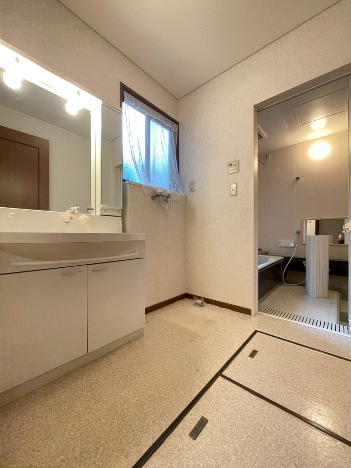 �V�����V���s�����擌�o�����̒��È�ˌ��Ă̐��ʑ�E���ʏ�