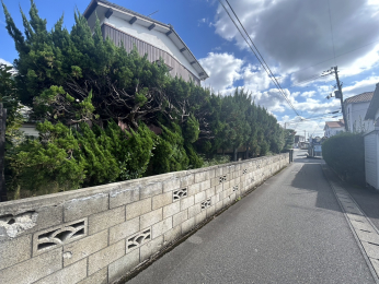 �V�����V���s�H�t�撆��3���ڂ̓y�n�̌��n�y�n�ʐ^