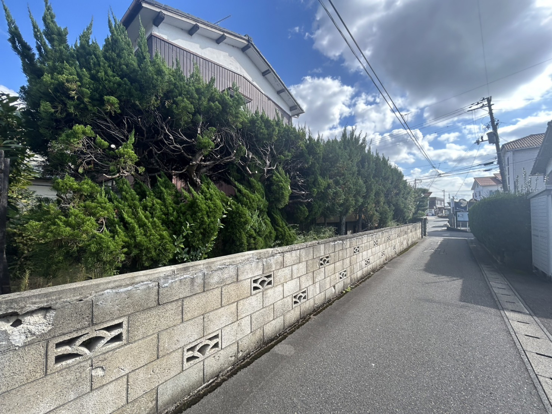 �V�����V���s�H�t�撆��3���ڂ̓y�n�̌��n�y�n�ʐ^