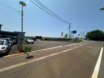 �V�����V���s�H�t�揬�{�˂̓y�n�̉摜