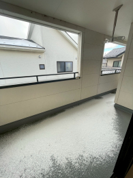 �V�����V���c�s���V��4���ڂ̒��È�ˌ��Ẳ摜