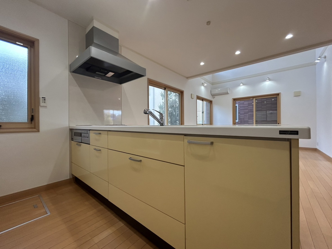 �V�����V���s����V���l1���ڂ̒��È�ˌ��Ẳ摜