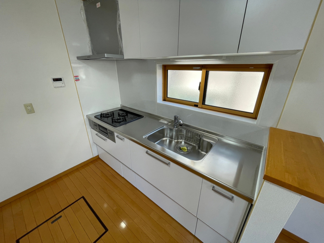 VVs^2ڂ̒ÈˌẲ摜