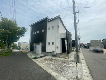 VVsD]2ڂ̐VzˌẲ摜