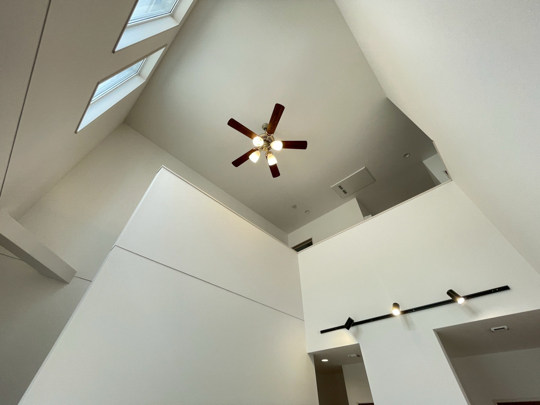 VVsD]2ڂ̐VzˌẲ摜