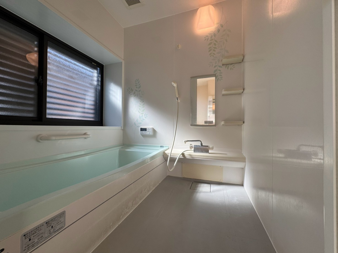 �V�����V���s�k��ÎR2164-8�̒��È�ˌ��Ẳ摜