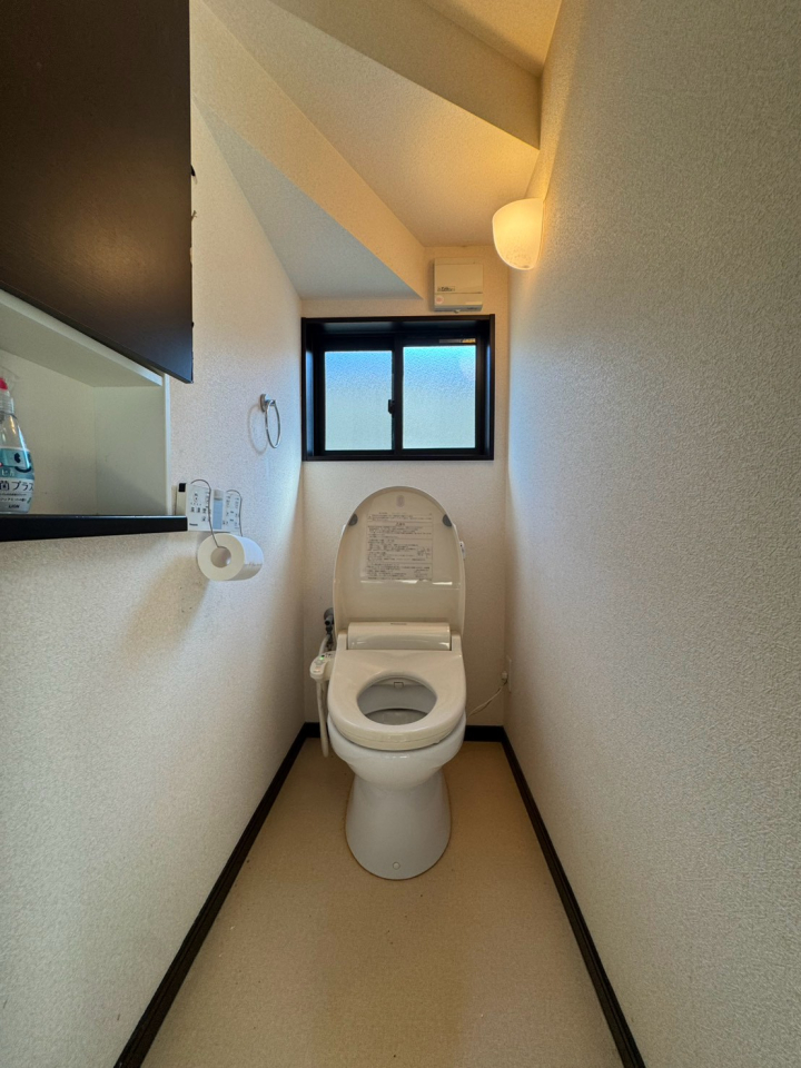 �V�����V���s�k��ÎR2164-8�̒��È�ˌ��Ẳ摜