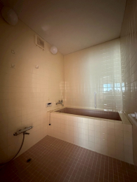 VVcs܏\7090̒ÈˌẲ摜