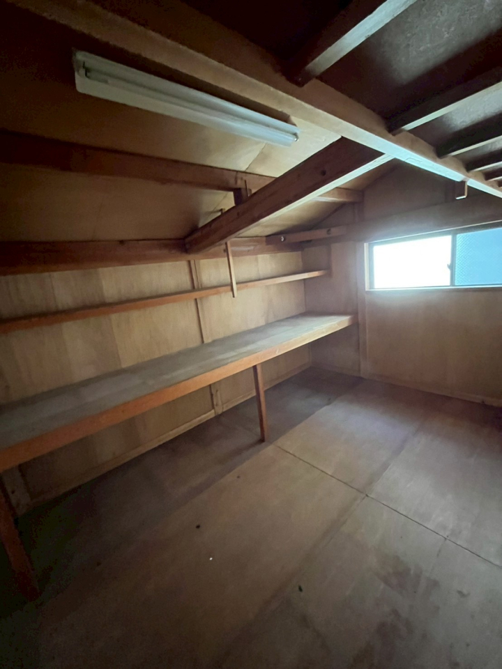 VVcszK3ڂ̒ÈˌẲ摜